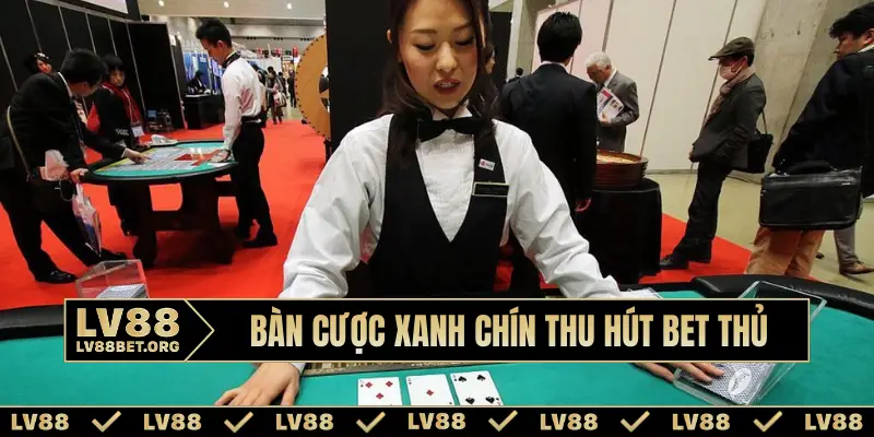 Bàn cược xanh chín thu hút bet thủ
