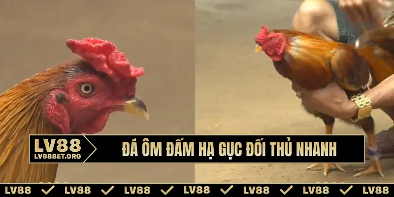 Đá ôm đấm hạ gục đối thủ nhanh