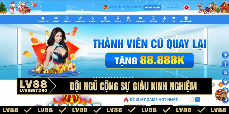 Đội ngũ cộng sự giàu kinh nghiệm