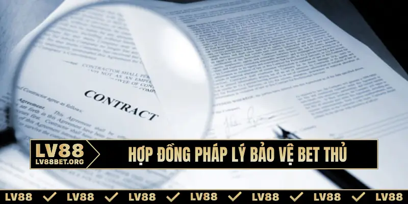 Hợp đồng pháp lý bảo vệ bet thủ
