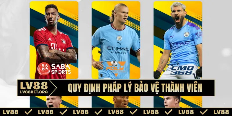 Quy định pháp lý bảo vệ thành viên